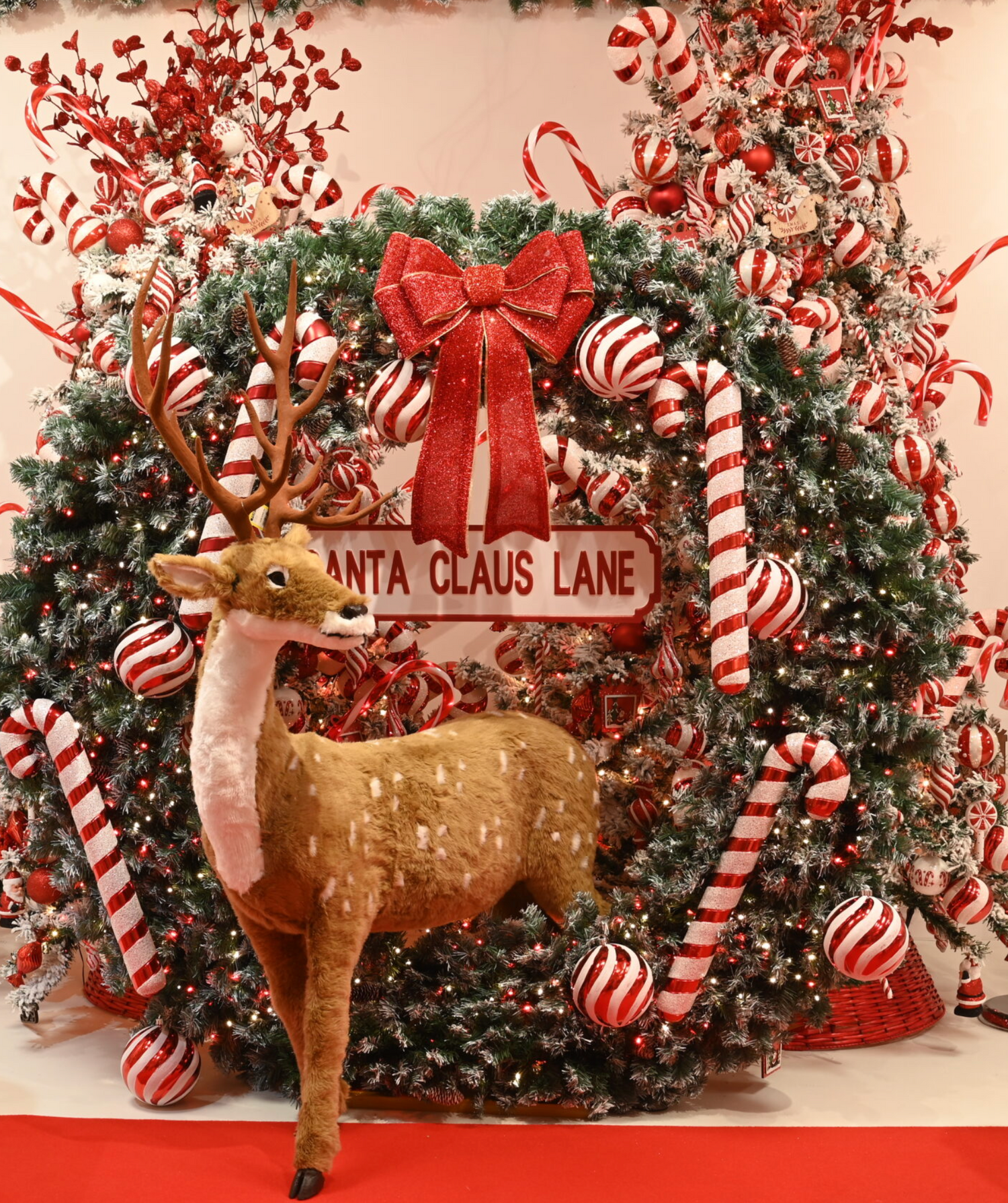 Red Candy Cane Lane Christmas Tree Decorations