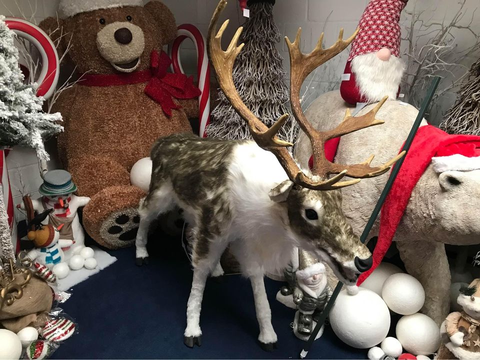 Animatronic Display Props