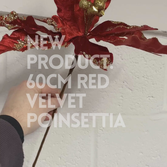 60cm Red Velvet Poinsettia